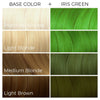 Shrek Colored Hair Dye - 1